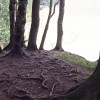 Nationalpark Jasmund